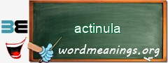 WordMeaning blackboard for actinula